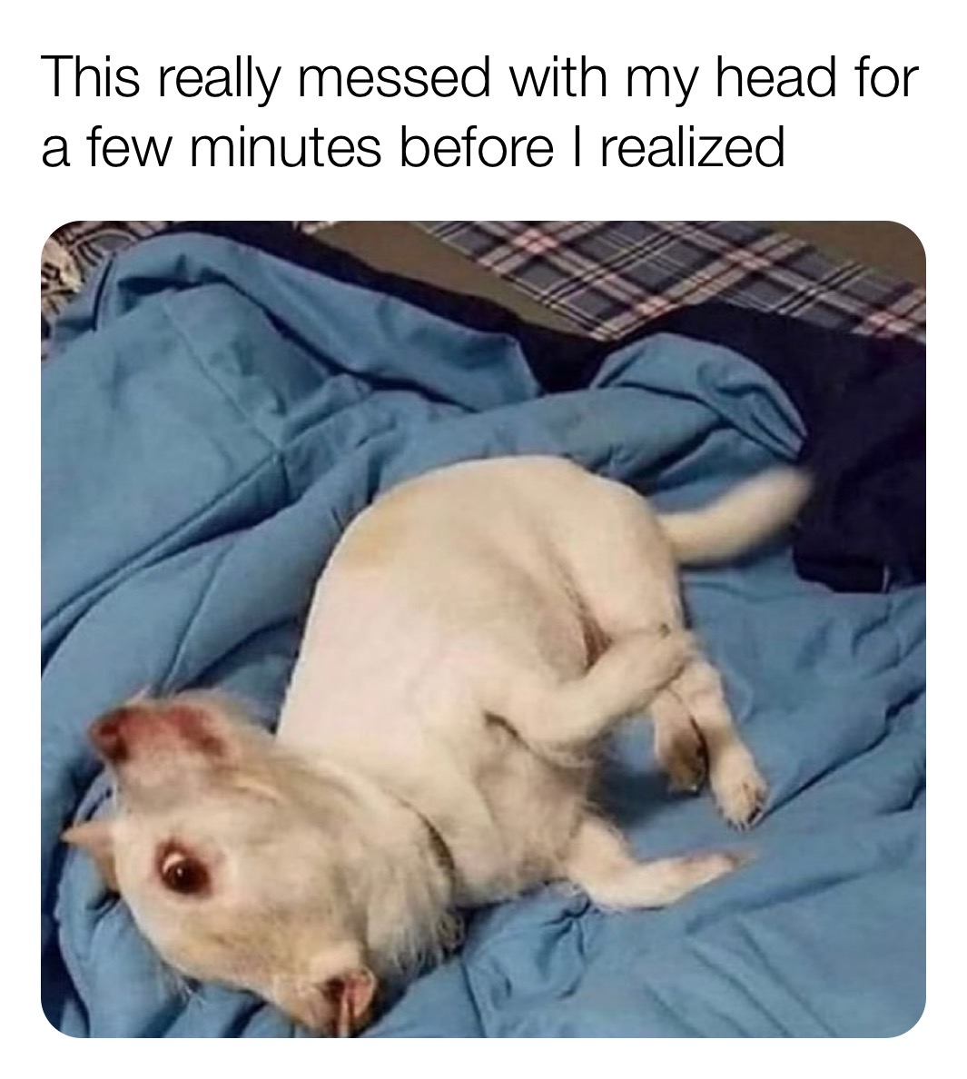 109341848_5779918012025738_1535136909864222769_o