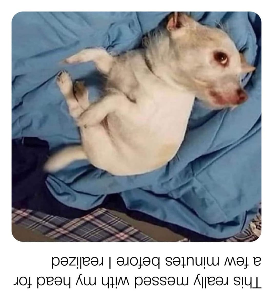 109564051_949992895423932_8221999324768307357_o