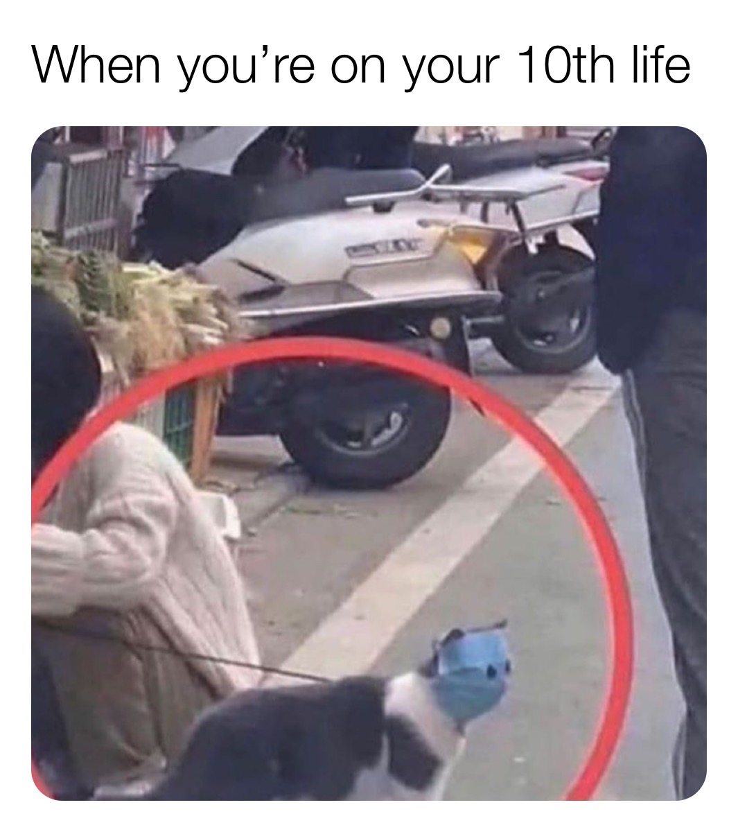 109581193_5779923375358535_3133568230404888533_o