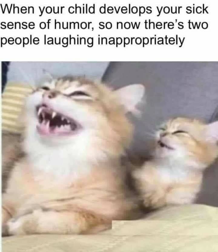 109637347_624888504809407_1492629358994713723_n