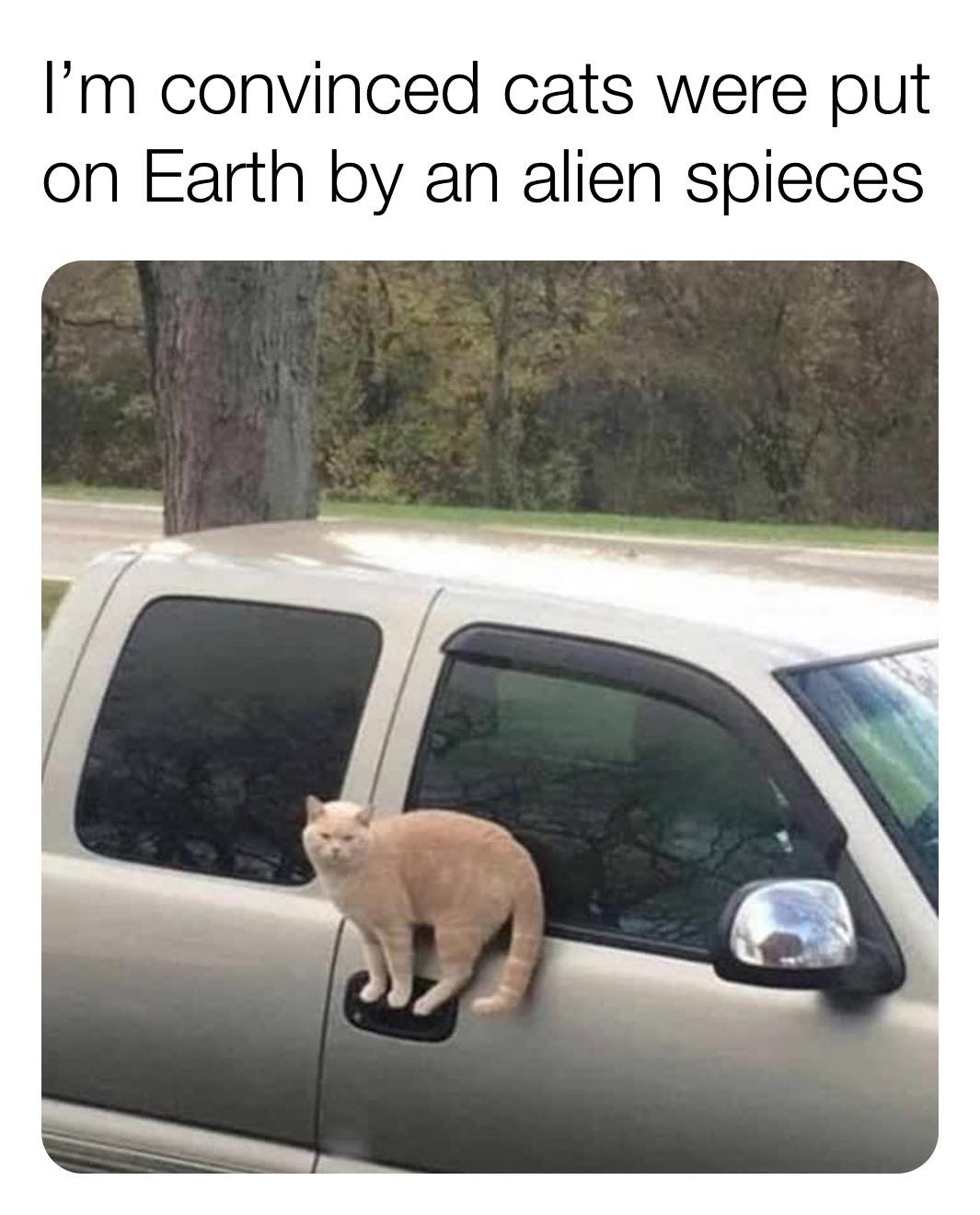 109695605_5781452961872243_8610509549696472731_o