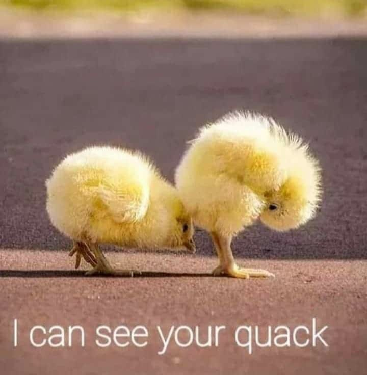 115419249_927786847699993_7600415971235105971_n