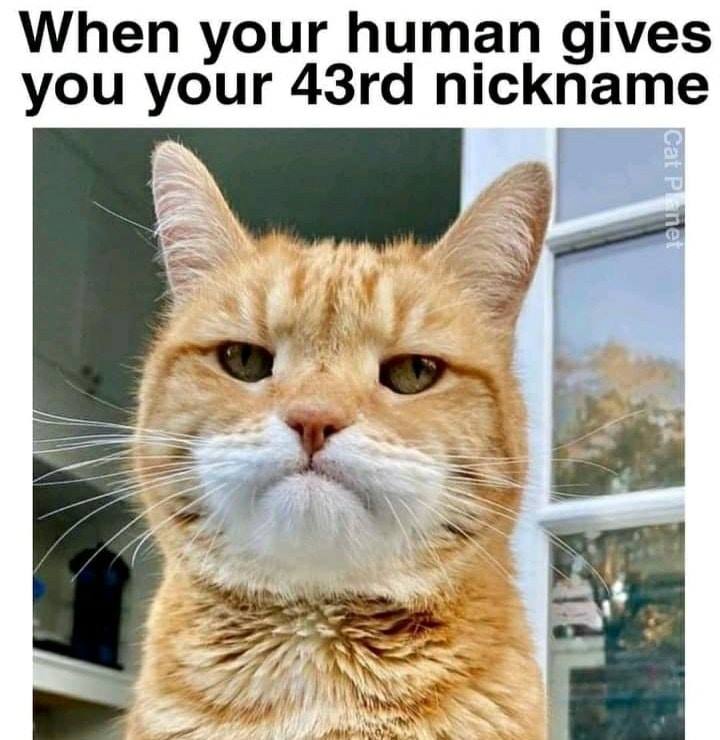 117040592_3227711883992557_4557034780694211041_n