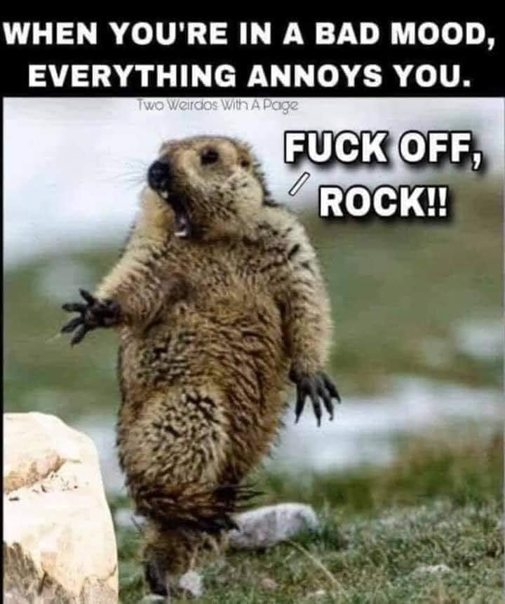 117171063_10158556015764299_6731512368632253417_n