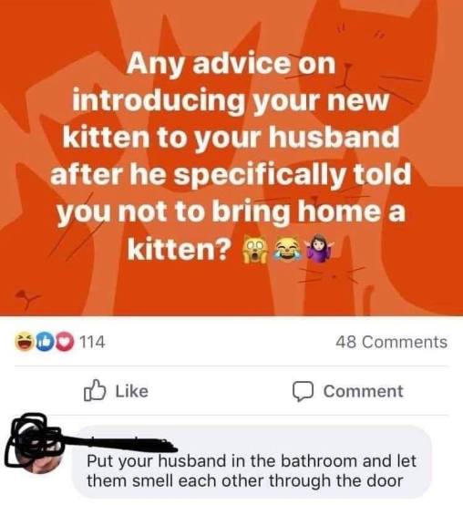 117316966_2631257947202594_664040637822506905_n