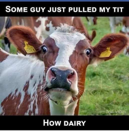 118081915_149443213513908_7890208171967432491_n