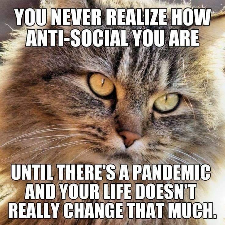 118876404_2657812837880438_6564625379676919970_n