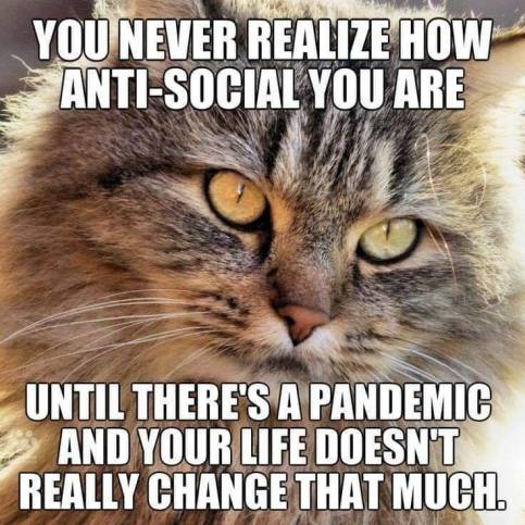 118876404_2657812837880438_6564625379676919970_n