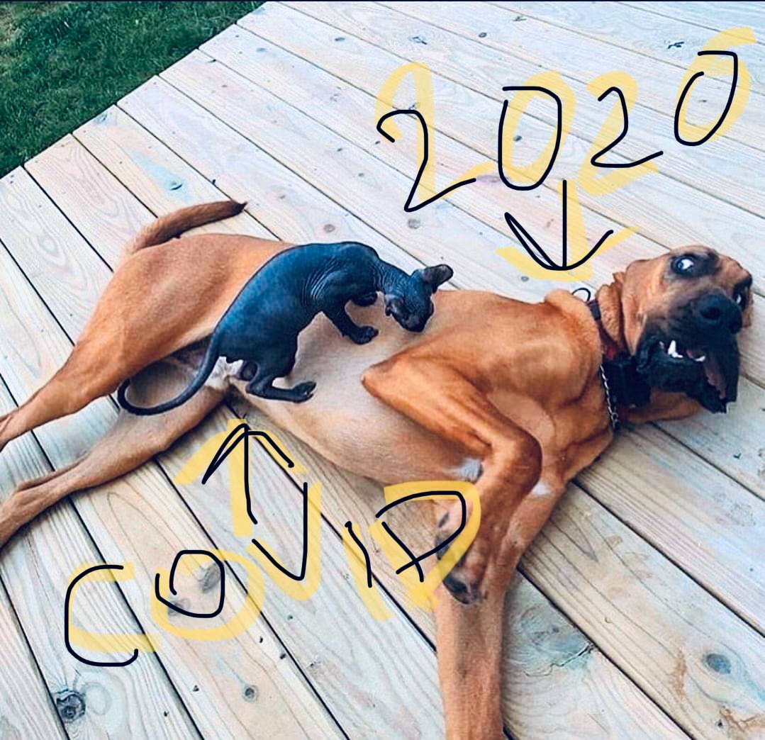 119883447_10224463927490852_3578439044233673396_o