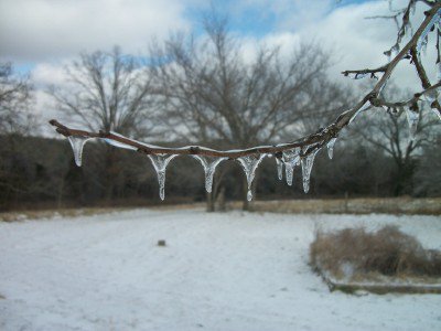 181743_498475764298_4613786_n