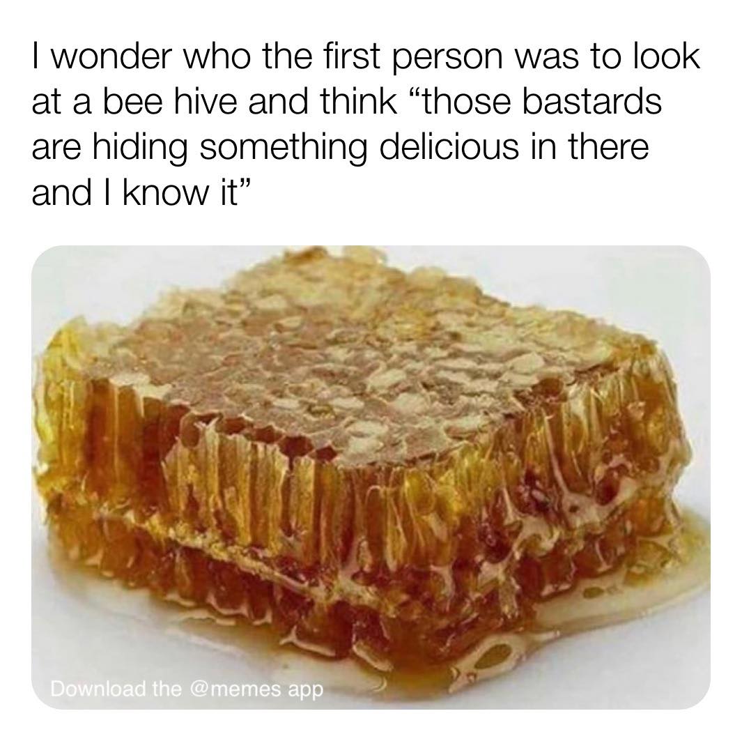 119649943_6133403860010483_2413603631624239998_o