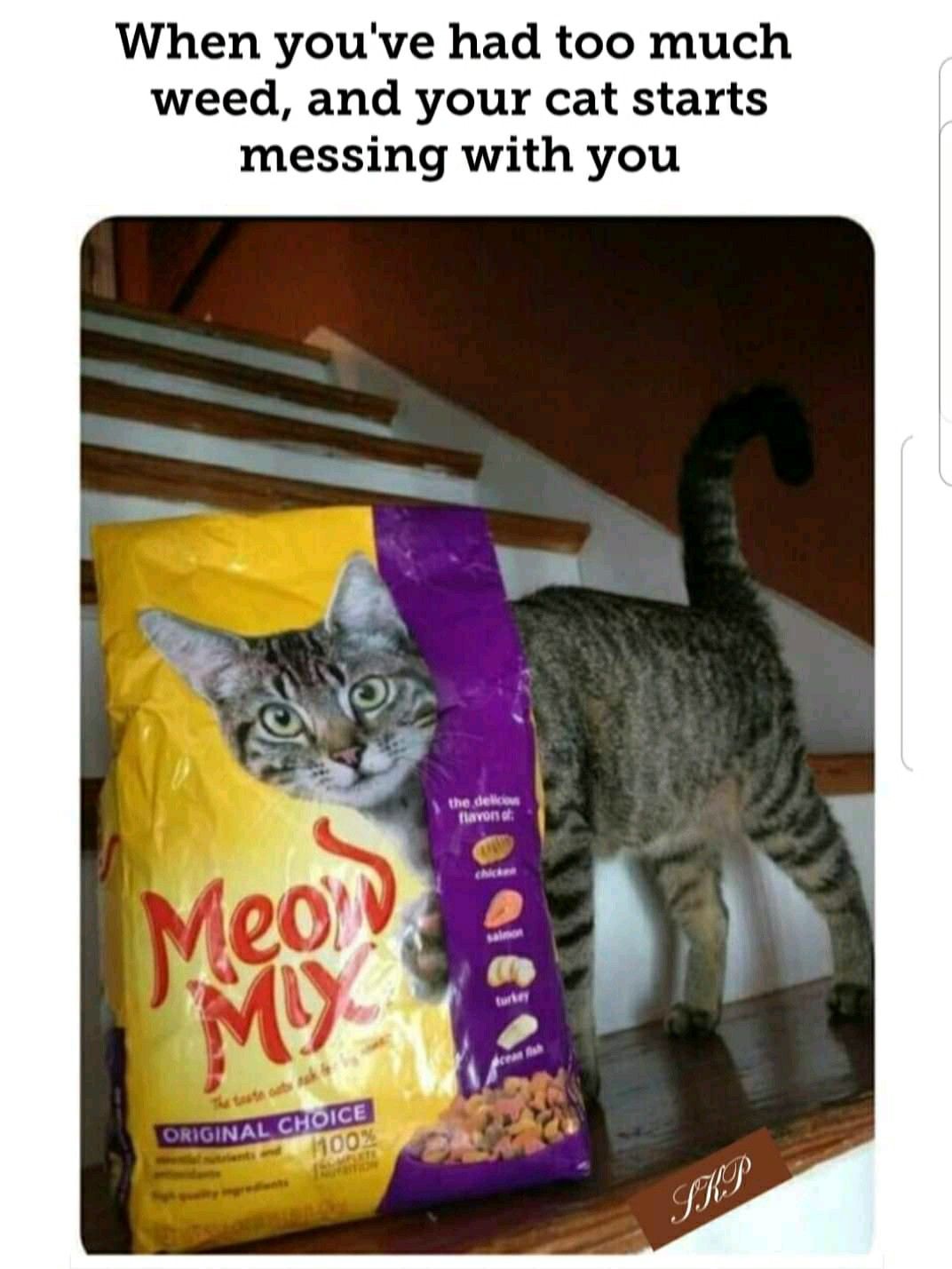 120141420_10221536235569383_7545735115147810870_o