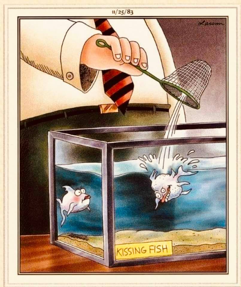 120195994_10221281979671387_7009077832453501850_n