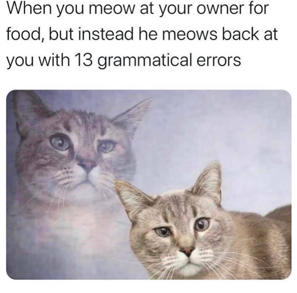 123658724_10164311227430430_1398341159271120392_n