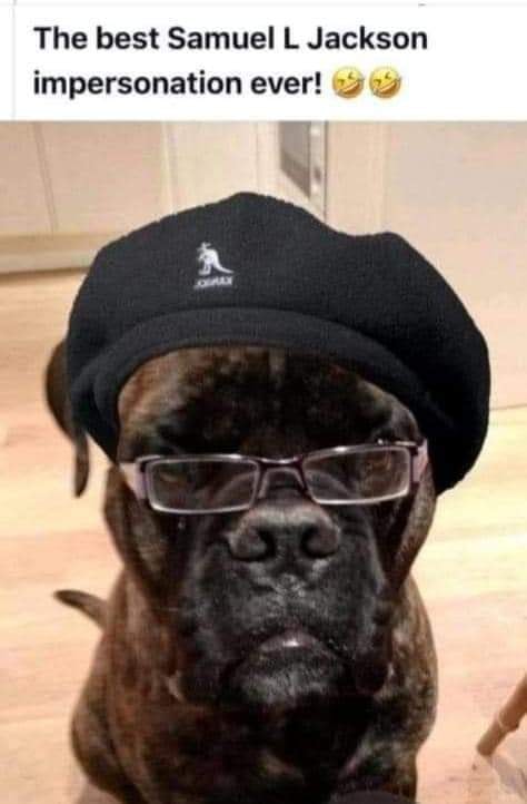 124787681_3537048172997523_2084697366889197416_n