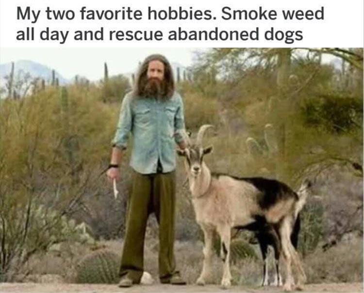 126235513_214342850343220_6023949098624666624_n