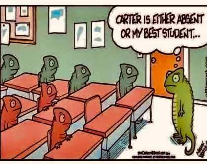 127105268_10158821664814299_7548598565630141318_n