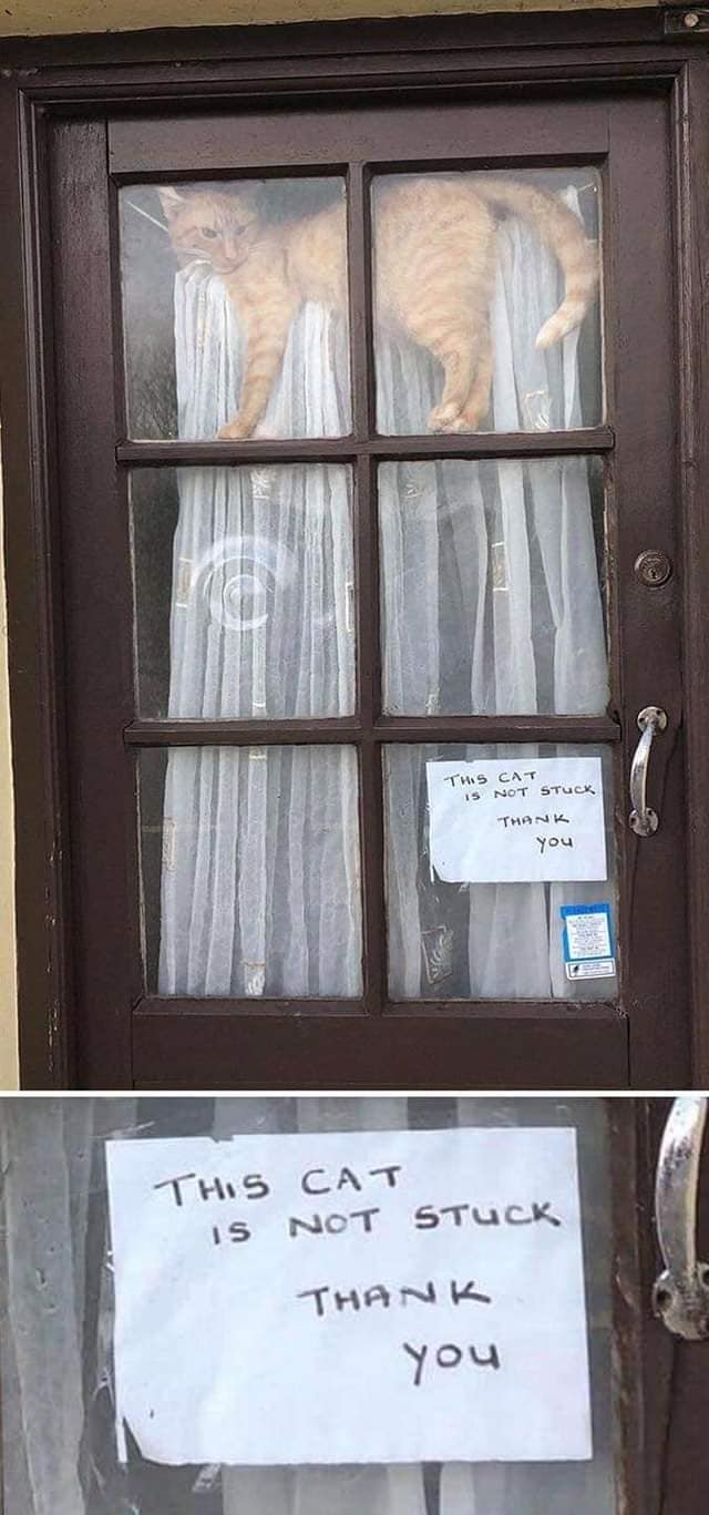 127110003_10158821667264299_6357795928906843948_o