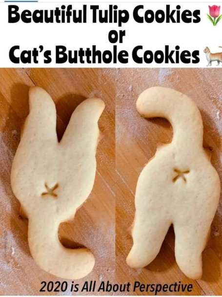 127222272_10158821665839299_7144730988511440262_n