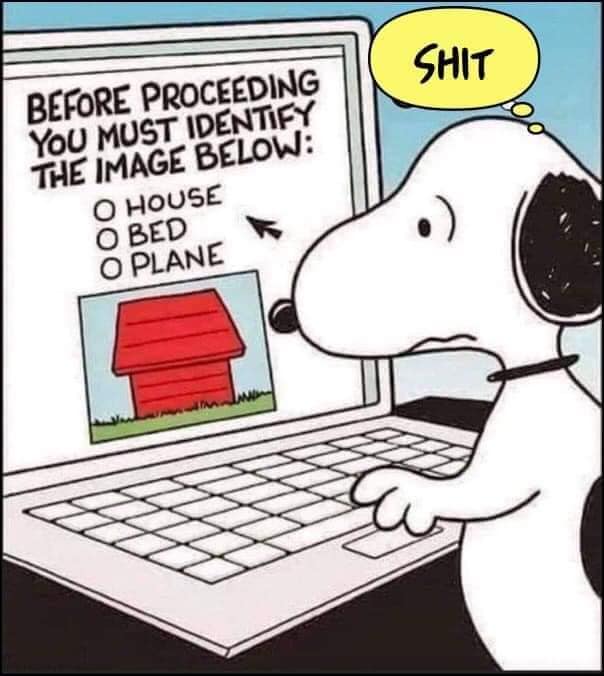 127273730_10158821668844299_8695879332132642695_n