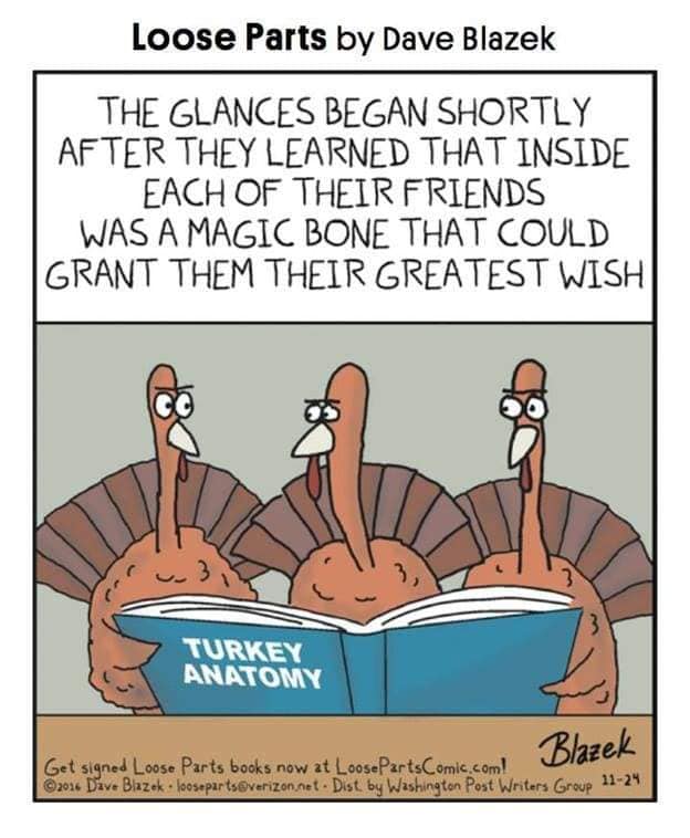 127637596_10158821668379299_1571461536292258416_n