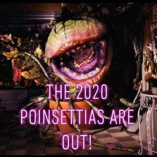 127670259_10158821667759299_6540989993634593163_n