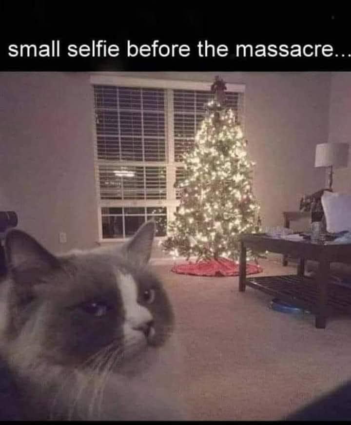 127280873_10157187779286222_61809619116393935_n