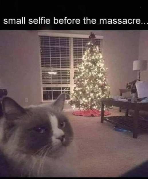 127280873_10157187779286222_61809619116393935_n