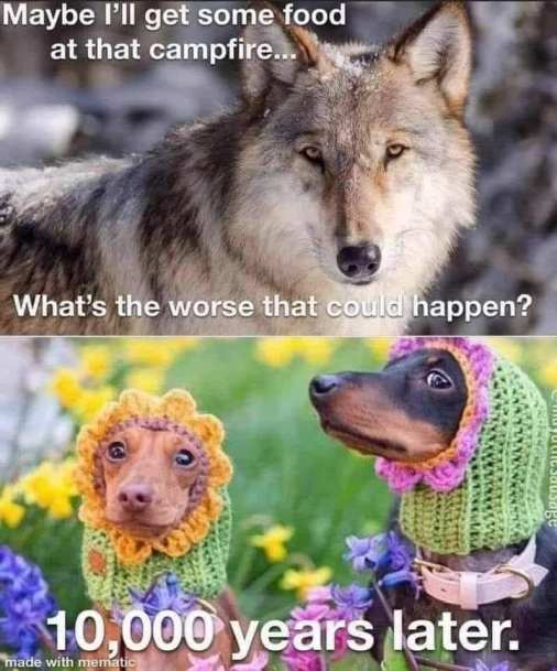 128735552_10224929049639420_891430297060376923_n