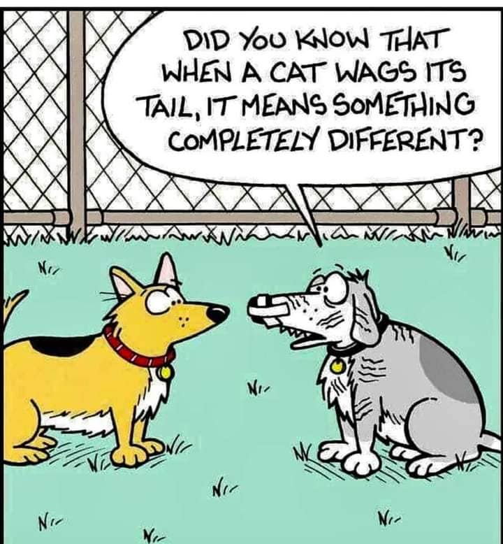 131090420_10158852555579299_5817109624624770494_n