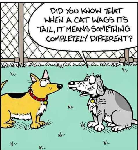 131090420_10158852555579299_5817109624624770494_n