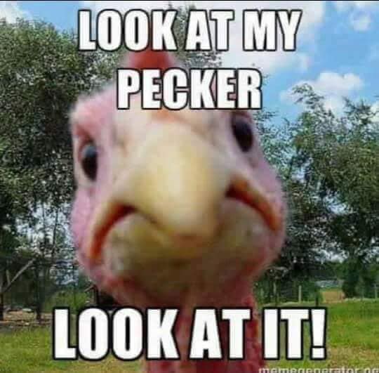 131127363_10158852556099299_916833634039875646_n