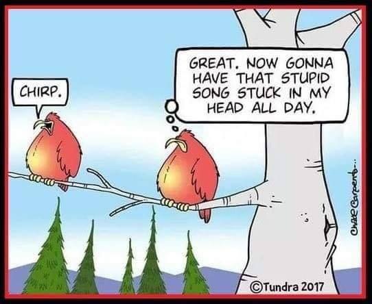 161281001_266320468312715_1959636206358494599_n