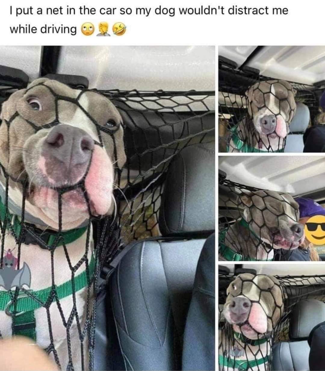 161400984_10226687938325033_1445696290304335600_o