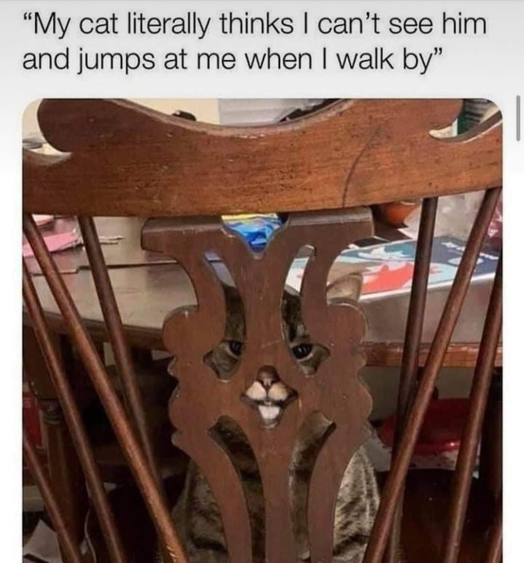 162434275_10159107014849253_639041526491570675_o