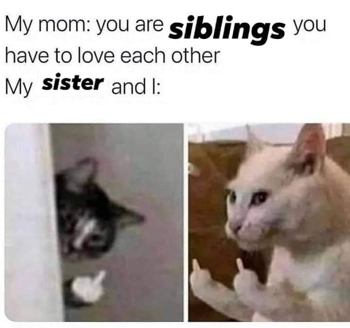 138583072_4161549873872678_3655501797598133382_n