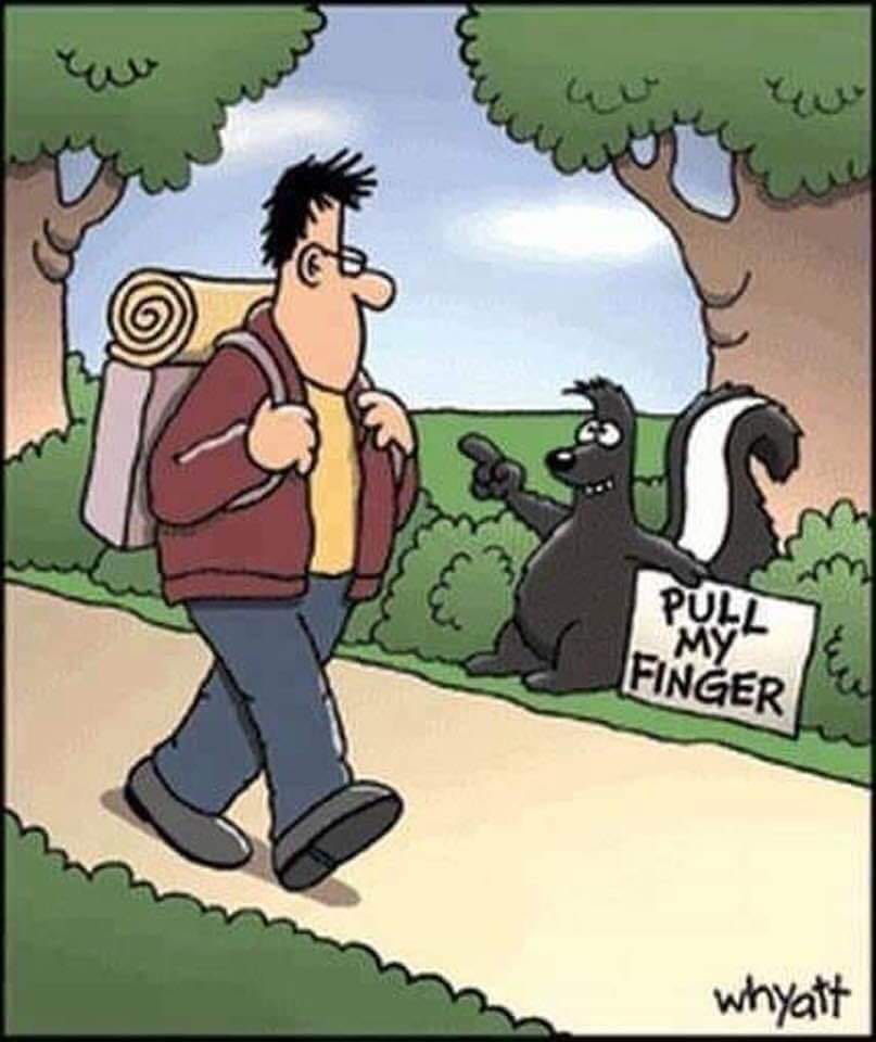 186128484_2628378654127550_1407687051272126175_n