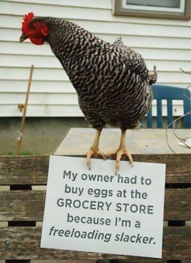 191208451_308130807465014_7799815628737121148_n