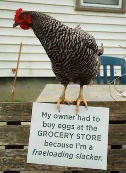 191208451_308130807465014_7799815628737121148_n