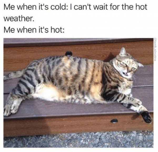 cat-me-when-its-cold-i-cant-wait-for-the-hot-weather-me-when-its-hot-tanksinatra