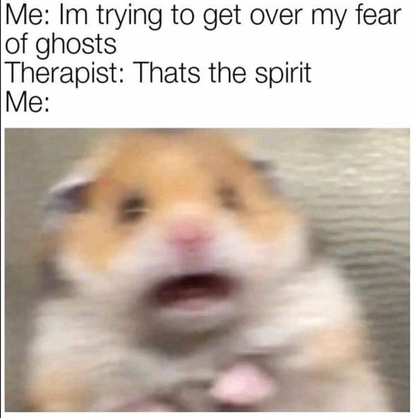 71642256_3114459055296208_4410323529090727936_n