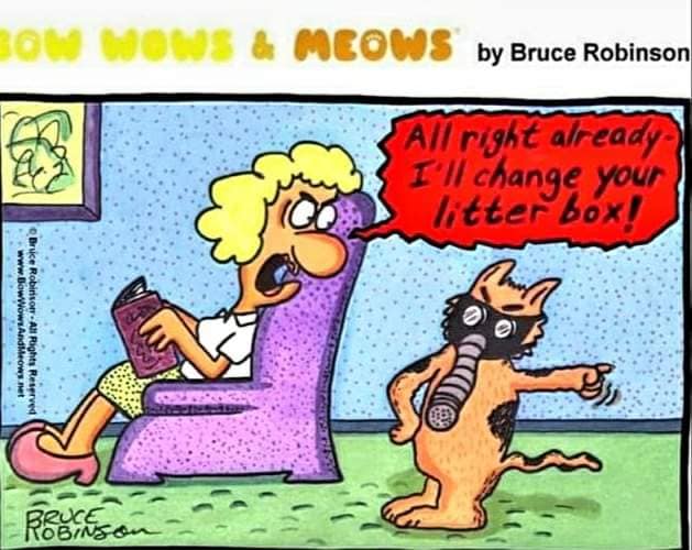 252917298_10159548566309299_1550781322639298328_n