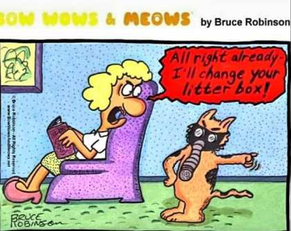 252917298_10159548566309299_1550781322639298328_n