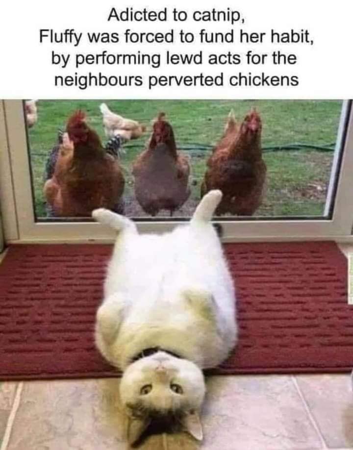 252934459_10159548566699299_8039566133626347195_n