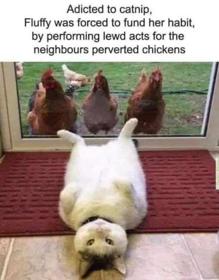 252934459_10159548566699299_8039566133626347195_n