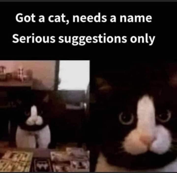 253166841_10159548567979299_1044095231221983526_n