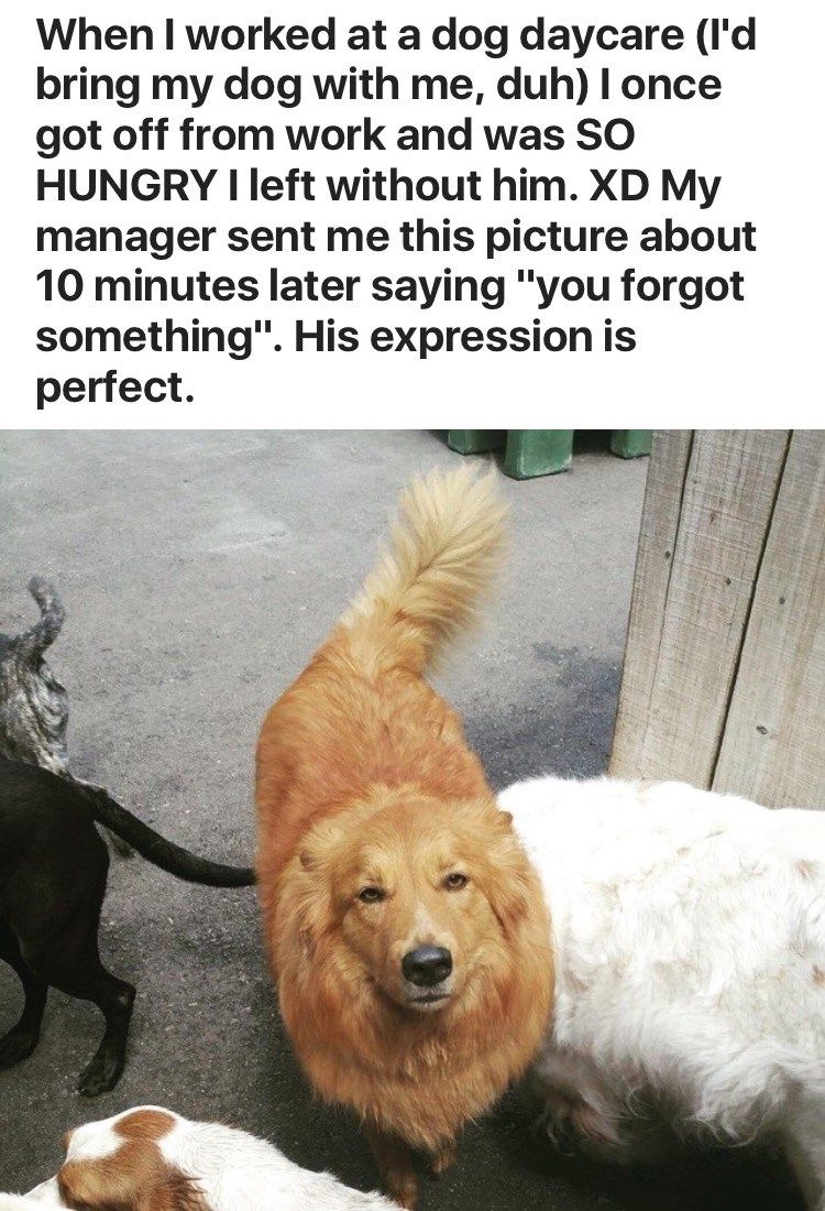 fb57eba0772da35ae2d868f027ae02f9