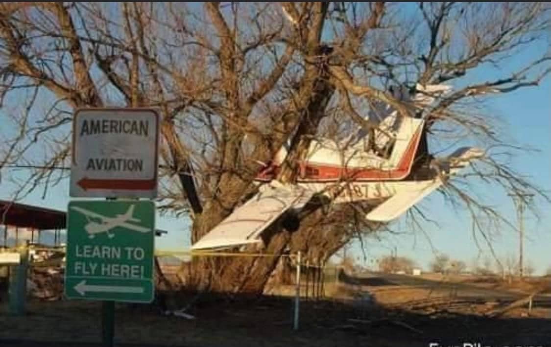 221954784_353546446364255_9016937069519927162_n