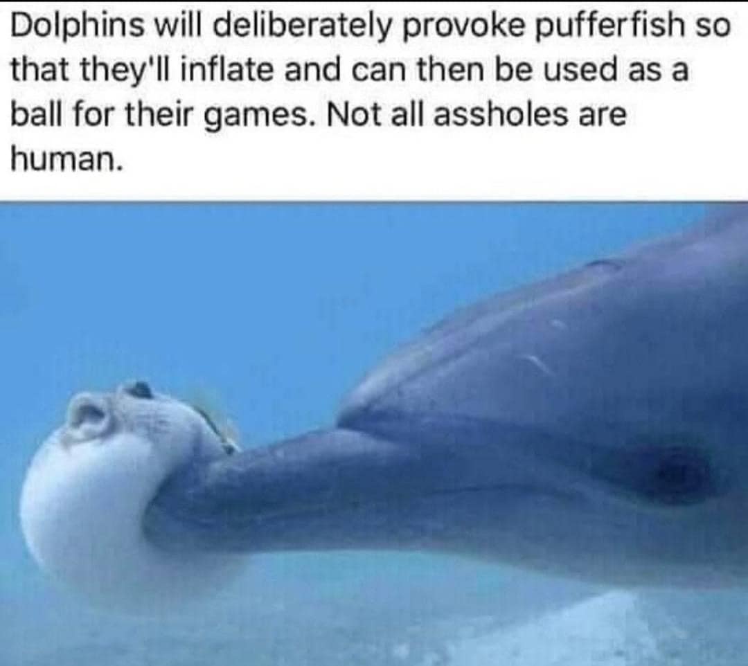 223800275_359550439097189_4260625748891758519_n