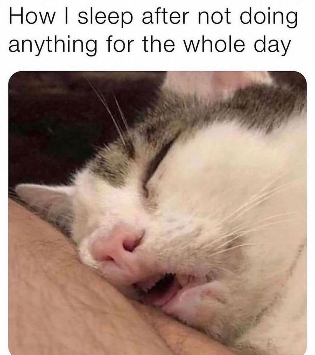 264590262_1085799145520839_4163017545134350490_n